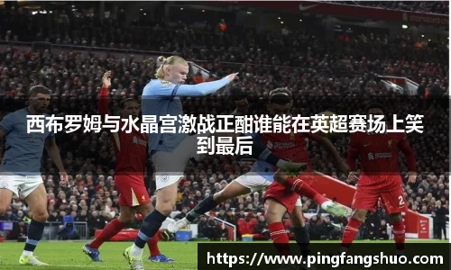 西布罗姆与水晶宫激战正酣谁能在英超赛场上笑到最后