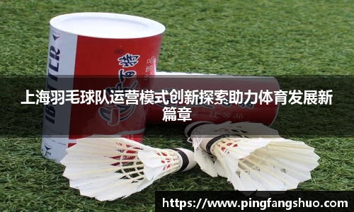 上海羽毛球队运营模式创新探索助力体育发展新篇章