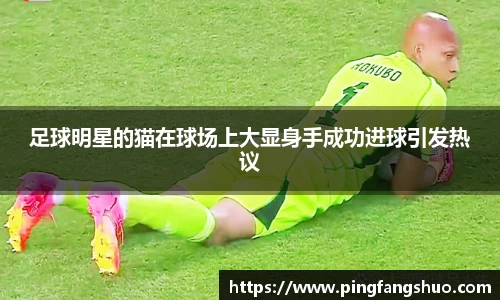 足球明星的猫在球场上大显身手成功进球引发热议