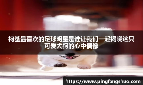 柯基最喜欢的足球明星是谁让我们一起揭晓这只可爱犬狗的心中偶像